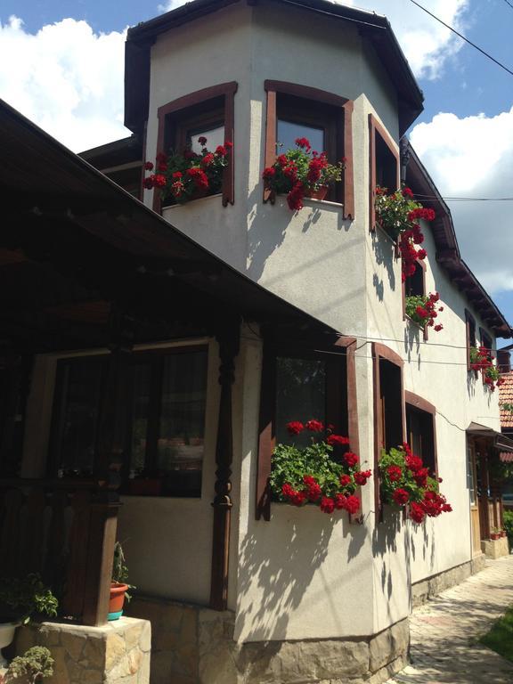 Pensiunea Casa Bianca - Bucovina Vama  Exterior foto